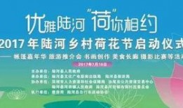 陆河新闻爆料2025,年度焦点事件盘点