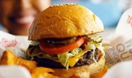 汉堡爆料视频大全集,揭秘幕后真相与精彩瞬间